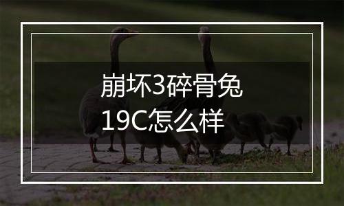 崩坏3碎骨兔19C怎么样