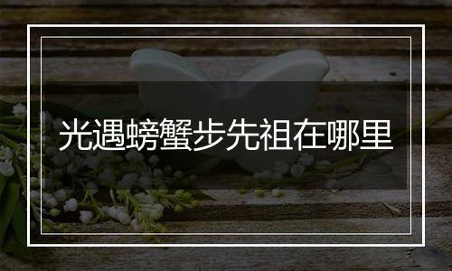 光遇螃蟹步先祖在哪里