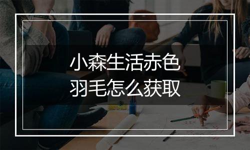 小森生活赤色羽毛怎么获取