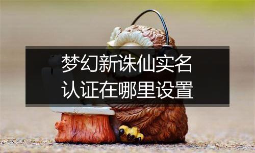 梦幻新诛仙实名认证在哪里设置