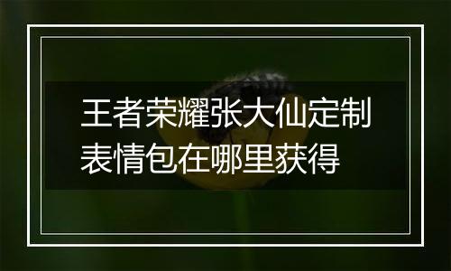 王者荣耀张大仙定制表情包在哪里获得