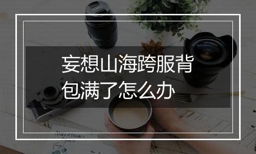 妄想山海跨服背包满了怎么办