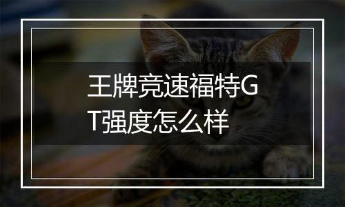 王牌竞速福特GT强度怎么样