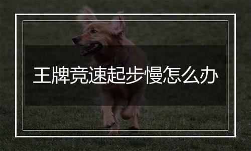 王牌竞速起步慢怎么办