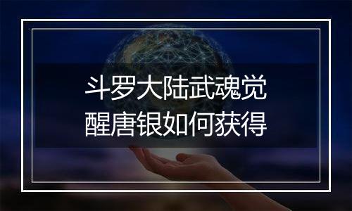 斗罗大陆武魂觉醒唐银如何获得