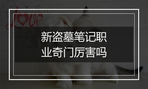 新盗墓笔记职业奇门厉害吗