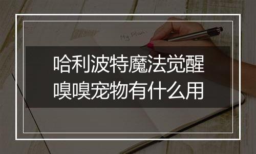 哈利波特魔法觉醒嗅嗅宠物有什么用