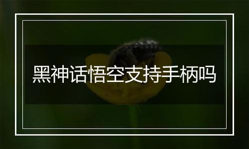 黑神话悟空支持手柄吗