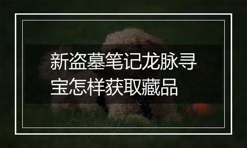 新盗墓笔记龙脉寻宝怎样获取藏品