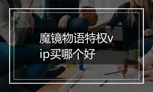 魔镜物语特权vip买哪个好