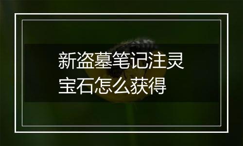 新盗墓笔记注灵宝石怎么获得