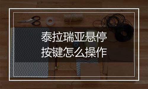 泰拉瑞亚悬停按键怎么操作