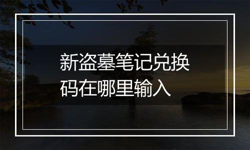 新盗墓笔记兑换码在哪里输入