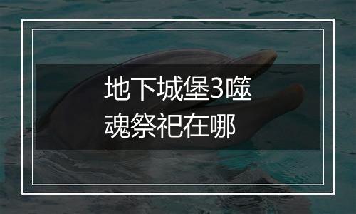 地下城堡3噬魂祭祀在哪