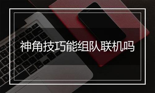 神角技巧能组队联机吗