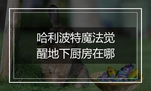 哈利波特魔法觉醒地下厨房在哪