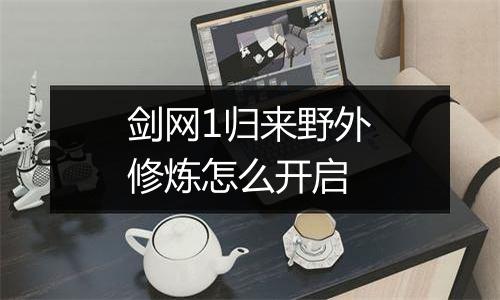 剑网1归来野外修炼怎么开启