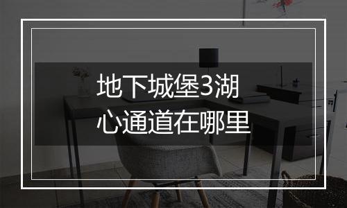 地下城堡3湖心通道在哪里