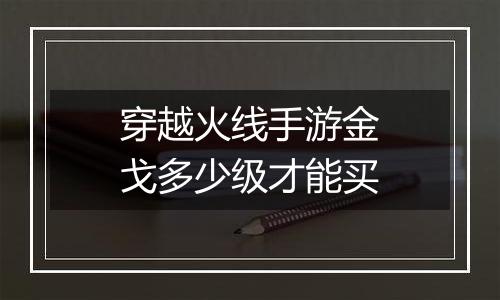 穿越火线手游金戈多少级才能买