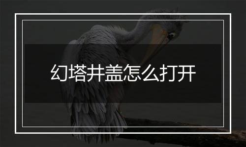 幻塔井盖怎么打开