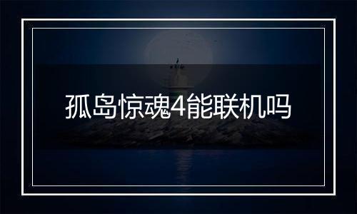 孤岛惊魂4能联机吗