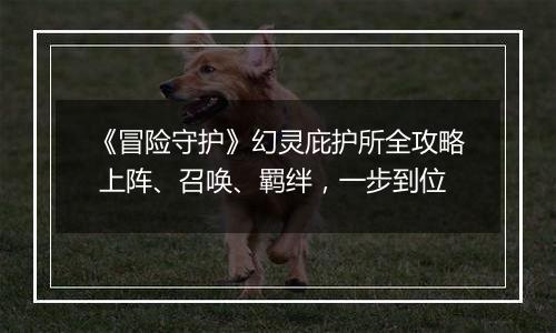 《冒险守护》幻灵庇护所全攻略 上阵、召唤、羁绊，一步到位