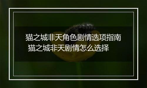 猫之城非天角色剧情选项指南 猫之城非天剧情怎么选择