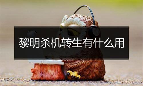 黎明杀机转生有什么用