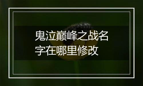 鬼泣巅峰之战名字在哪里修改
