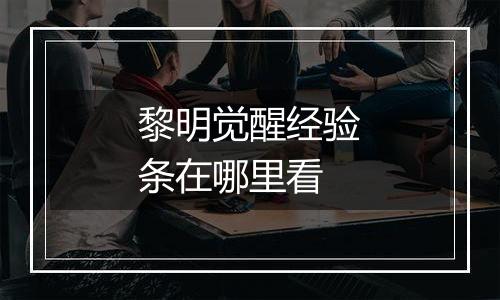 黎明觉醒经验条在哪里看