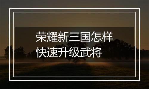 荣耀新三国怎样快速升级武将