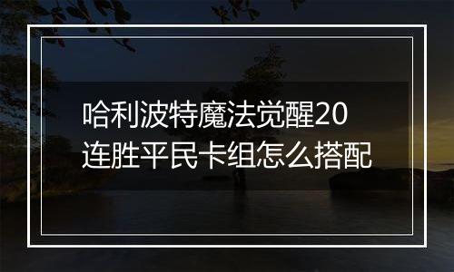 哈利波特魔法觉醒20连胜平民卡组怎么搭配
