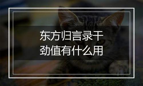 东方归言录干劲值有什么用