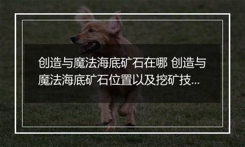 创造与魔法海底矿石在哪 创造与魔法海底矿石位置以及挖矿技巧