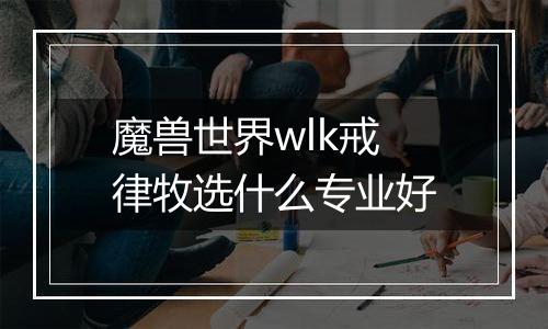 魔兽世界wlk戒律牧选什么专业好