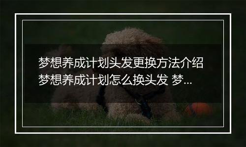 梦想养成计划头发更换方法介绍 梦想养成计划怎么换头发 梦想养成计划头发获得方法