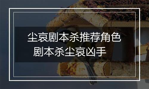 尘哀剧本杀推荐角色  剧本杀尘哀凶手