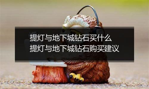 提灯与地下城钻石买什么  提灯与地下城钻石购买建议