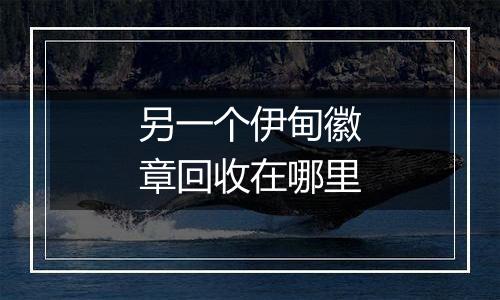 另一个伊甸徽章回收在哪里