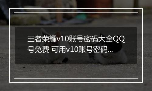 王者荣耀v10账号密码大全QQ号免费 可用v10账号密码2022