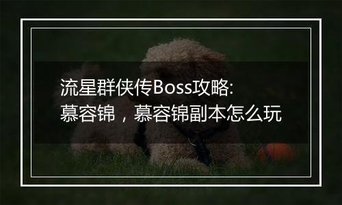 流星群侠传Boss攻略:慕容锦，慕容锦副本怎么玩