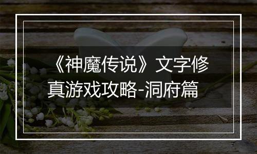 《神魔传说》文字修真游戏攻略-洞府篇