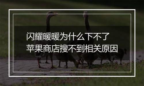 闪耀暖暖为什么下不了 苹果商店搜不到相关原因