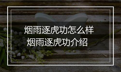 烟雨逐虎功怎么样  烟雨逐虎功介绍