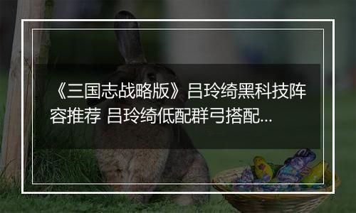 《三国志战略版》吕玲绮黑科技阵容推荐 吕玲绮低配群弓搭配攻略