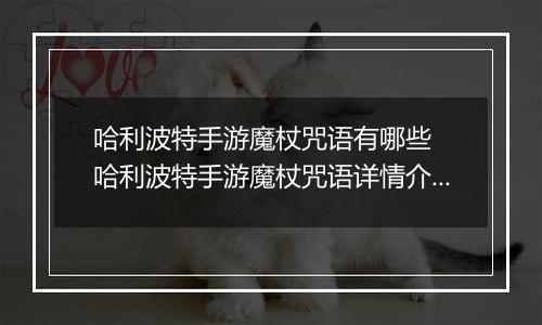 哈利波特手游魔杖咒语有哪些  哈利波特手游魔杖咒语详情介绍