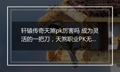 轩辕传奇天煞pk厉害吗 成为灵活的一把刀，天煞职业PK无敌技巧