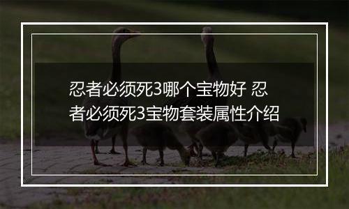 忍者必须死3哪个宝物好 忍者必须死3宝物套装属性介绍