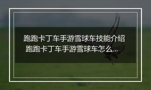 跑跑卡丁车手游雪球车技能介绍  跑跑卡丁车手游雪球车怎么样