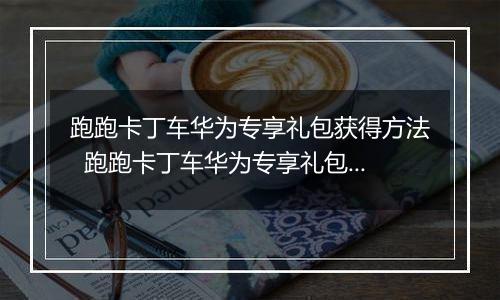 跑跑卡丁车华为专享礼包获得方法  跑跑卡丁车华为专享礼包怎么获得